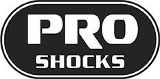 PRO100 by PRO SHOCK