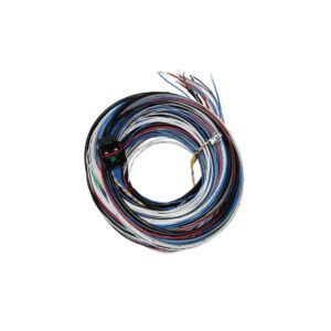 FUELTECH USA FT450/550 A Harness 10ft 2001005569