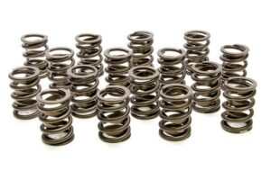 PAC RACING SPRINGS Valve Springs – HR Series (16) PAC-1900-16