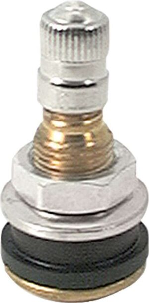 ALLSTAR PERFORMANCE Brass Valve Stem Bolt-In ALL44134