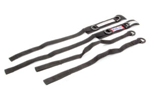 RJS SAFETY Jr Dragster Arm Restrain 11001701