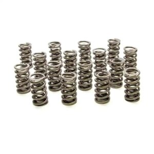 PAC RACING SPRINGS Dual Valve Springs – GM LS (16) PAC-1222X-16