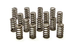PAC RACING SPRINGS 1.290 Valve Springs – Ovate Beehive (16) PAC-1218-16