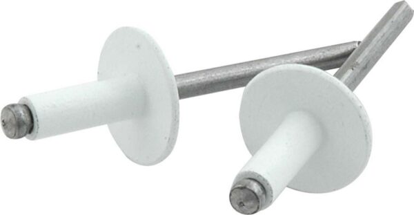 ALLSTAR PERFORMANCE Lg Hd Rivet 250Pk White ALL18156