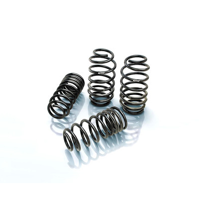 EIBACH Pro-Kit 06-08 Dodge Charger 2876.140