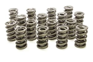 PAC RACING SPRINGS 1.564 Dual Valve Springs (16) PAC-1385-16