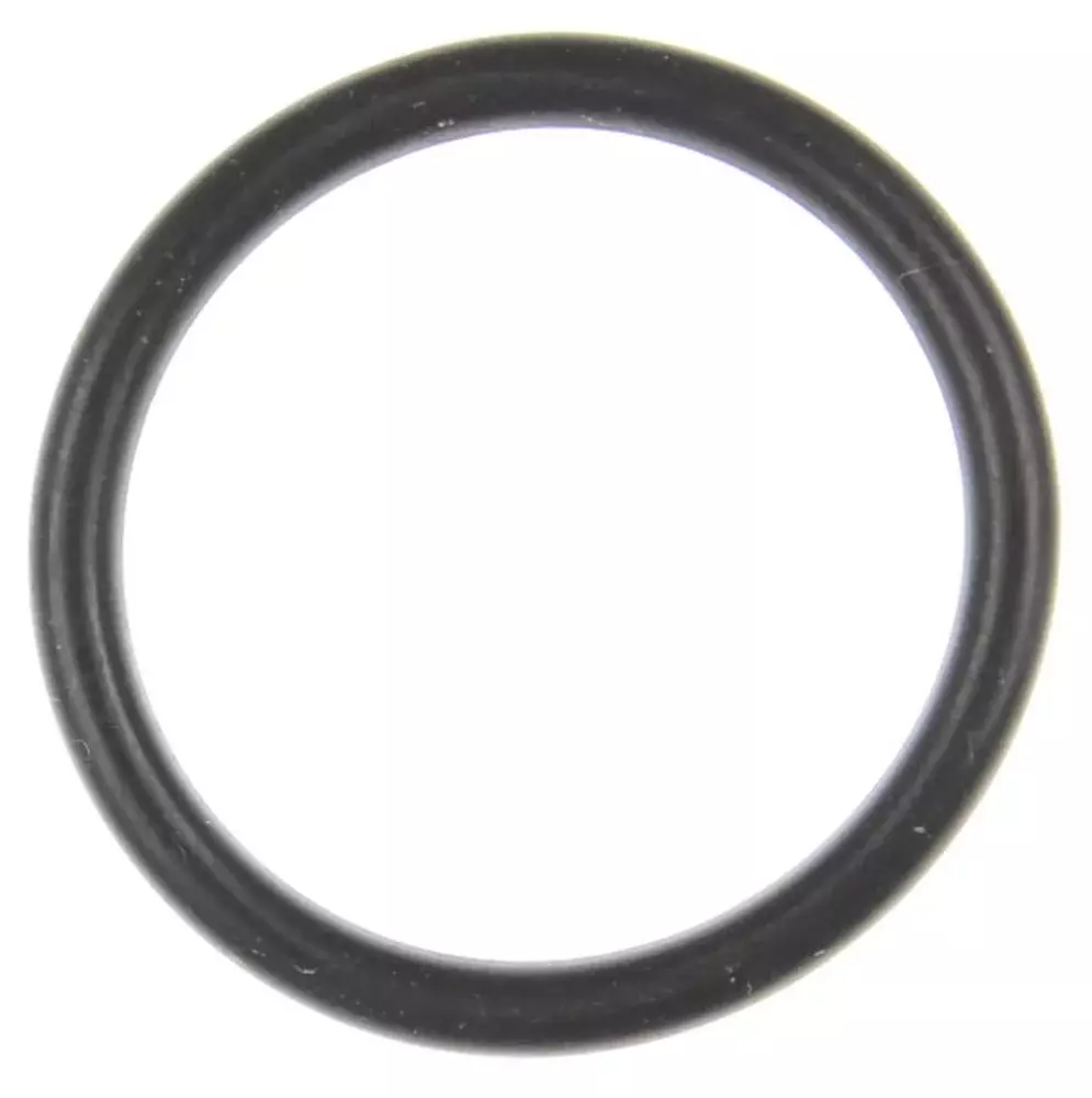 MAHLE ORIGINAL/CLEVITE EFI Throttle Body O-Ring 05-10 Hemi 6.1L G32944