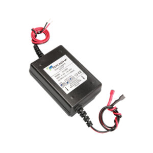 REESE DC to DC Heavy Duty Quic k/Maintenance (Multi Sta 2024-07