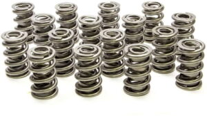 PAC RACING SPRINGS 1.550 Dual Valve Springs (16) PAC-1326-16