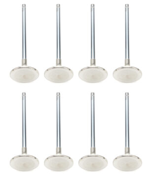 MANLEY SBC 1.625 SD Exhaust Valves 5/16 5.640 OAL 11399-8