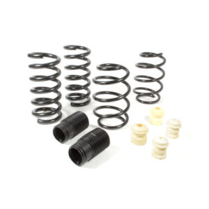 EIBACH Pro Kit 2015-21 Ford Mustang 35145.140