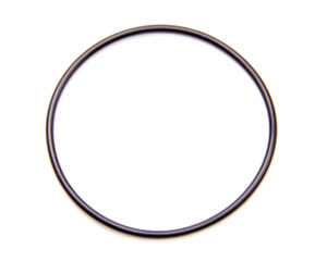 DIVERSIFIED MACHINE CT1 Seal O-Ring for Seal Plate RRC-1003