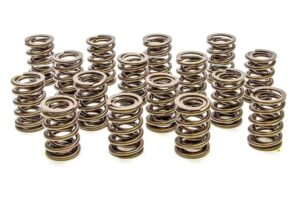 PAC RACING SPRINGS Valve Springs – HR Series (16) PAC-1905-16
