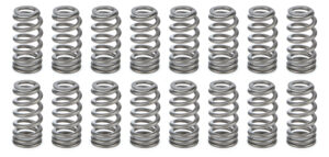 PAC RACING SPRINGS 1.021 Valve Springs – Ovate Beehive (16) PAC-1234X-16