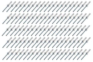 FIVESTAR Small Head Rivet Silver 100pc 3/16in 816-100S