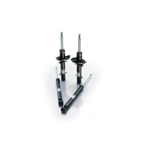 EIBACH Pro-Damper Kit 94-04 Ford Mustang 3514.840