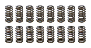 PAC RACING SPRINGS 1.025 Valve Springs – Ovate Beehive (16) PAC-1233-16