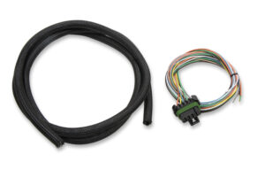 HOLLEY 10-Pin Harness – Sniper TBI 558-491