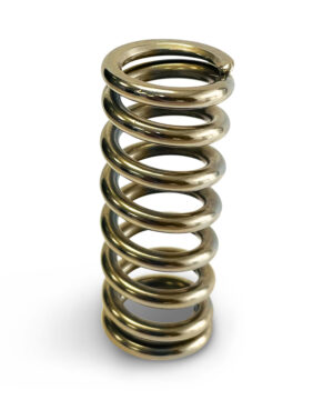 PROFORM Calibrated Test Spring 10-190lbs BB1903
