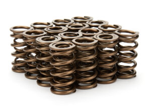 STRAUB TECHNOLOGIES INC. 1.290 Dual Valve Springs 16pk 110-1821