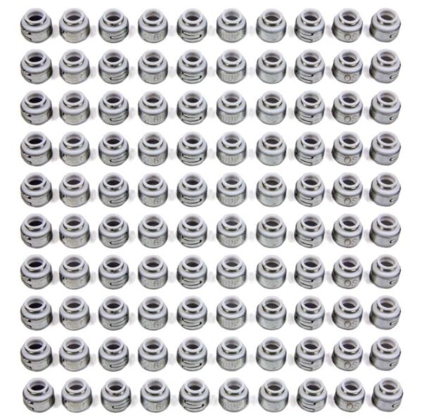 PIONEER Teflon Oil Seals – 11/32 (100) OS-1066-100