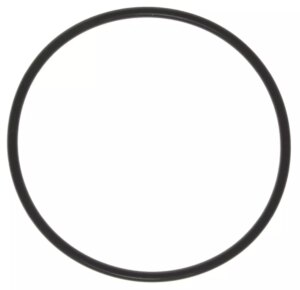 MAHLE ORIGINAL/CLEVITE Thermostat Seal 97-03 GM 4.8 5.3 5.7 6.0 72141