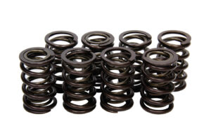 ISKY CAMS Valve Springs – Nissan SOHC 70058