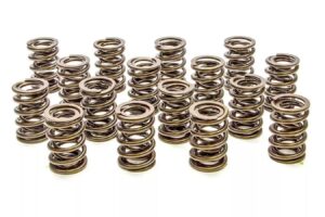 PAC RACING SPRINGS Valve Springs – HR Series (16) PAC-1908-16