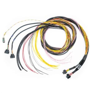 FUELTECH USA FT700 C&D Harness 10ft 2001008771